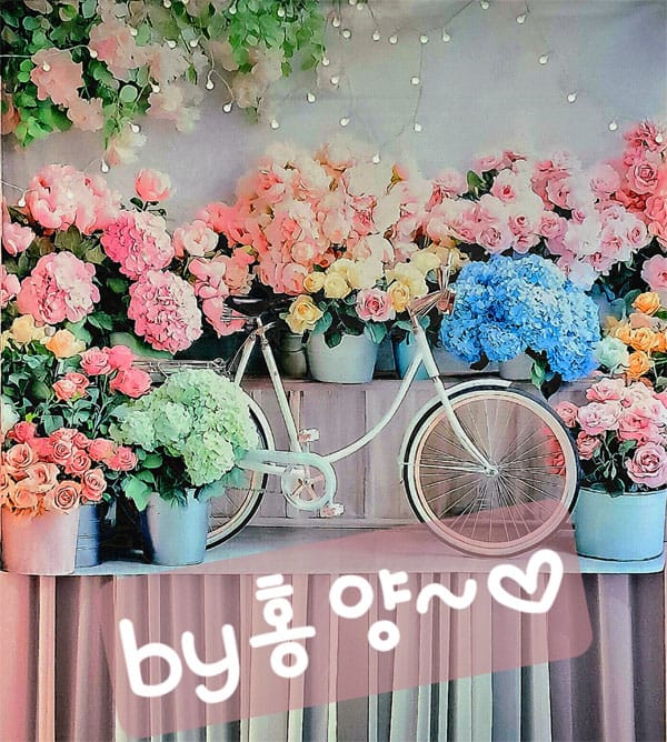 서면1인샵[by홍양]⛔️　　　　　　◣◥◤◢◣◥ ⛔ ㄷㅏ가봐도 결국, 홍양 ๑◕‿◕๑ ⛔ ◣◥◤◢◣◥