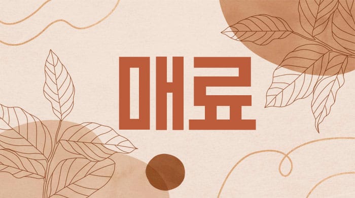 부산.서면1인샵[매료] 한번도 안온 사람은 있어도 한번만온 사람은 없다