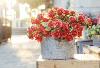 부산.시청역1인샵[쉼]우선!**✢§ 건식/아로마/스포츠마사지/림프순환/스웨디시 §✢**♥▒▒▒♥ 힐링타임 ♥▒▒▒♥